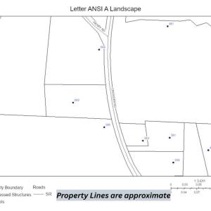 Photo #13 of 600 Crowder, Madison, NC 4.6 acres