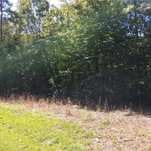 Photo #3 of 600 Crowder, Madison, NC 4.6 acres
