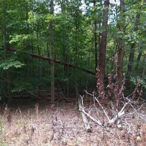 Photo #9 of 600 Crowder, Madison, NC 4.6 acres