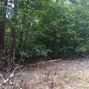 Photo #10 of 600 Crowder, Madison, NC 4.6 acres