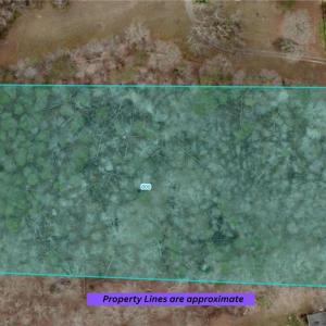 Photo #11 of 600 Crowder, Madison, NC 4.6 acres