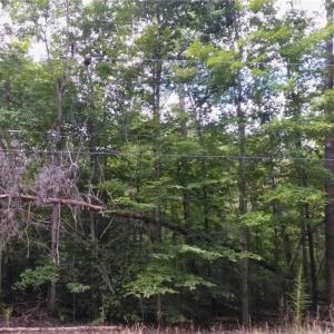 Photo #8 of 600 Crowder, Madison, NC 4.6 acres