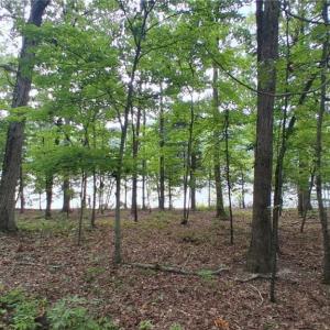 Photo #12 of 497 Harbor, Lexington, NC 0.9 acres