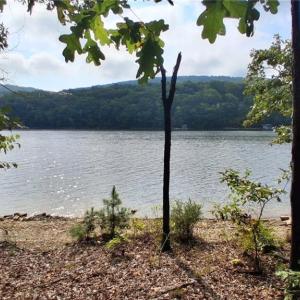 Photo #5 of 497 Harbor, Lexington, NC 0.9 acres