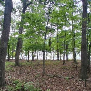 View of lake from homesite