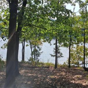 Photo #4 of 497 Harbor, Lexington, NC 0.9 acres