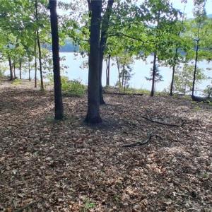 Photo #8 of 497 Harbor, Lexington, NC 0.9 acres