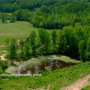 Photo #16 of 1220 Alamo, Walnut Cove, NC 90.2 acres