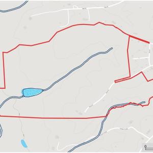 Photo #20 of 1220 Alamo, Walnut Cove, NC 90.2 acres