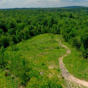 Photo #11 of 1220 Alamo, Walnut Cove, NC 90.2 acres