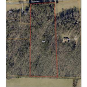 Photo #13 of 8113 Thorndike, Greensboro, NC 9.8 acres