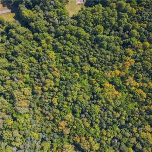 Photo #9 of 8113 Thorndike, Greensboro, NC 9.8 acres