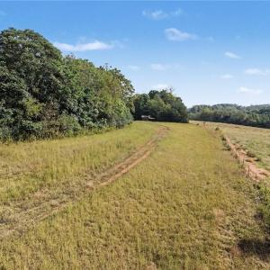 Photo #6 of 1210 Nicky, Danbury, NC 31.5 acres