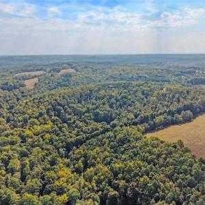Photo #42 of 1210 Nicky, Danbury, NC 31.5 acres