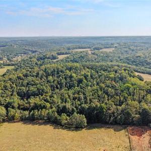Photo #43 of 1210 Nicky, Danbury, NC 31.5 acres