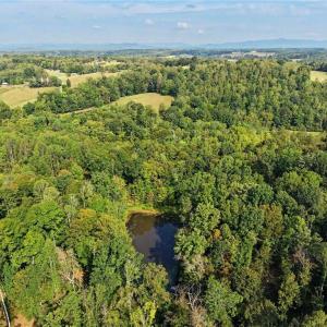 Photo #16 of 1210 Nicky, Danbury, NC 31.5 acres