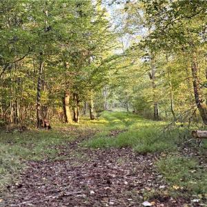 Photo #22 of 1210 Nicky, Danbury, NC 31.5 acres