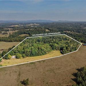 Photo #3 of 1210 Nicky, Danbury, NC 31.5 acres