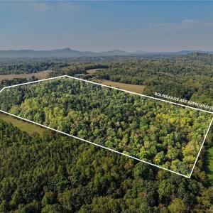 Photo #36 of 1210 Nicky, Danbury, NC 31.5 acres
