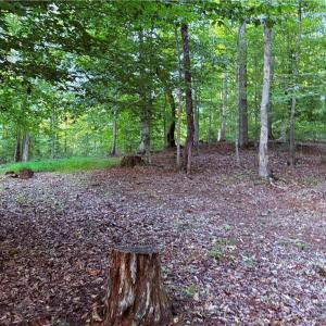 Photo #32 of 1210 Nicky, Danbury, NC 31.5 acres