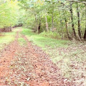 Photo #24 of 1210 Nicky, Danbury, NC 31.5 acres