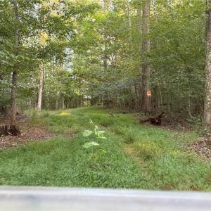 Photo #34 of 1210 Nicky, Danbury, NC 31.5 acres