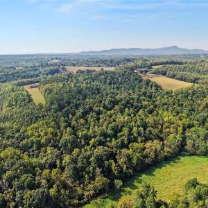 Photo #15 of 1210 Nicky, Danbury, NC 31.5 acres