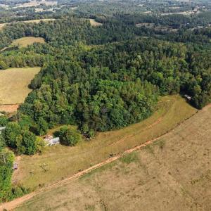 Photo #44 of 1210 Nicky, Danbury, NC 31.5 acres