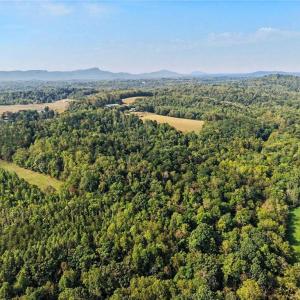 Photo #40 of 1210 Nicky, Danbury, NC 31.5 acres