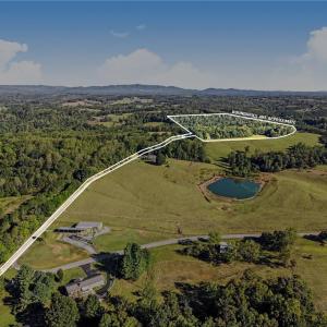 Photo #4 of 1210 Nicky, Danbury, NC 31.5 acres