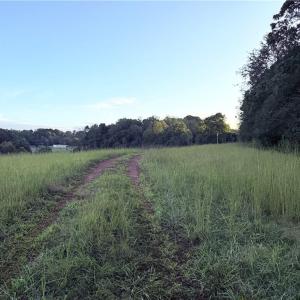 Photo #21 of 1210 Nicky, Danbury, NC 31.5 acres