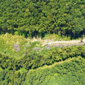Photo #6 of 507 Birch Creek, McLeansville, NC 10.0 acres