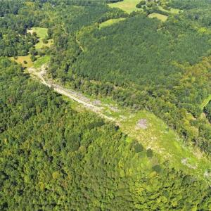 Photo #5 of 507 Birch Creek, McLeansville, NC 10.0 acres