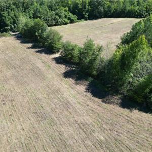 Photo #27 of Sandy Cross, Reidsville, NC 28.4 acres