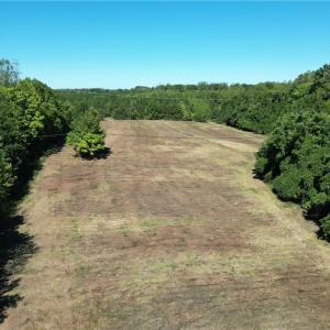 Photo #6 of Sandy Cross, Reidsville, NC 28.4 acres