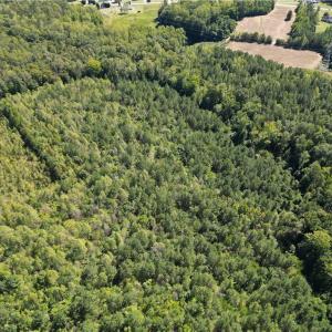Photo #13 of Sandy Cross, Reidsville, NC 28.4 acres