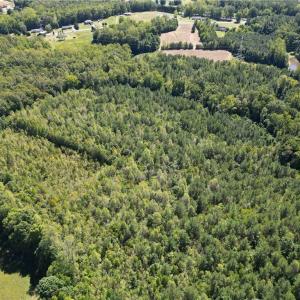Photo #12 of Sandy Cross, Reidsville, NC 28.4 acres
