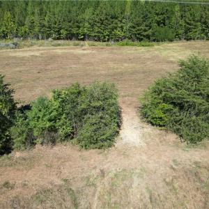 Photo #22 of Sandy Cross, Reidsville, NC 28.4 acres