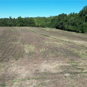 Photo #3 of Sandy Cross, Reidsville, NC 28.4 acres