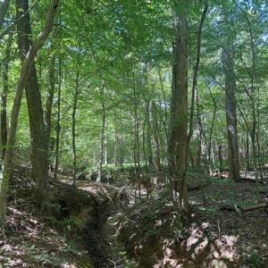 Photo #32 of Sandy Cross, Reidsville, NC 28.4 acres