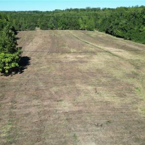Photo #20 of Sandy Cross, Reidsville, NC 28.4 acres