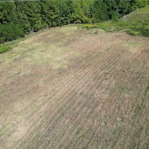 Photo #24 of Sandy Cross, Reidsville, NC 28.4 acres