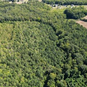 Photo #14 of Sandy Cross, Reidsville, NC 28.4 acres