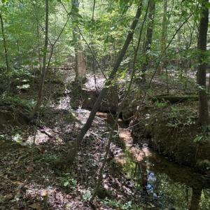 Photo #45 of Sandy Cross, Reidsville, NC 28.4 acres