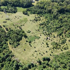 Photo #15 of Sandy Cross, Reidsville, NC 28.4 acres