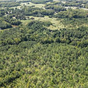 Photo #11 of Sandy Cross, Reidsville, NC 28.4 acres
