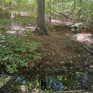 Photo #44 of Sandy Cross, Reidsville, NC 28.4 acres