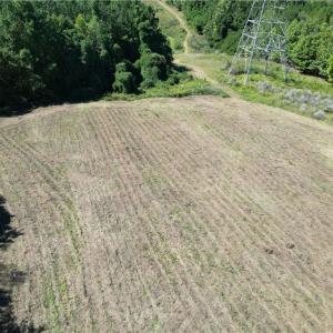 Photo #25 of Sandy Cross, Reidsville, NC 28.4 acres