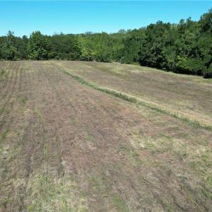 Photo #21 of Sandy Cross, Reidsville, NC 28.4 acres