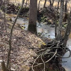 Photo #17 of 2646 Minden, Pleasant Garden, NC 28.3 acres